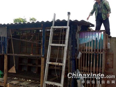 10������ ���³��Զ�����լ(ͼ)