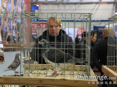 �߼���������Ѫ ���ܺ�ɨ������