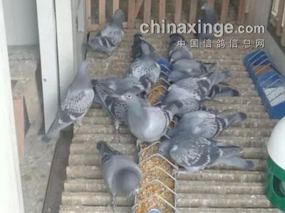 ���������16�� �봺���޲�(ͼ)