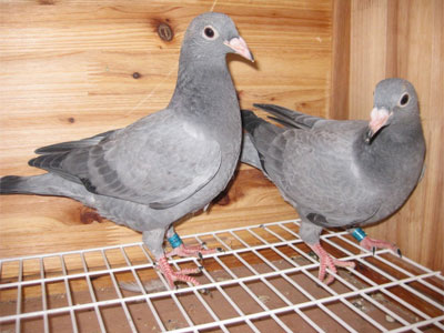 ����������������