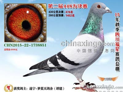 ����Ҳ�д��� �״��͹��Ｔ����(ͼ)