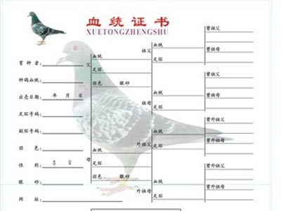 ������ʮ�أ���Ѫ��Ѫ ���ǲ˸�Ѫ