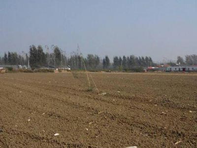 ��æ����������� ���ⱻץ����(ͼ)