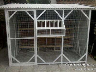 ��������ѱ䣿�����������