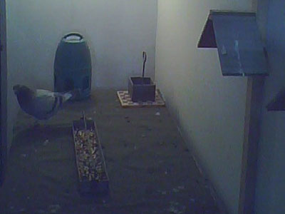 �湻���ģ��������ûһ���ý��