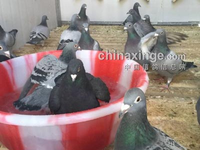 �������� ����Ҳϴ����ԡ(ͼ)