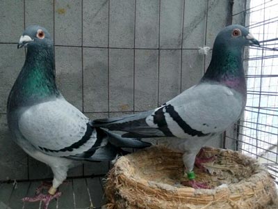 �����������̫�� ��Щ�ɽ��⣿(ͼ)