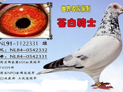 ������԰���ʿ���䡰�������ܡ�