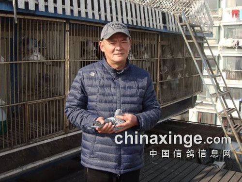 �����Ĳʺ磺ר���Ϻ����������ۺ��Ǿ�(ͼ)