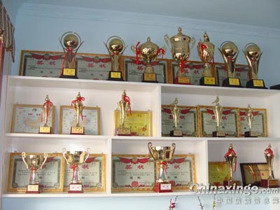 ��Щ���� �����ջ���ǽ����(ͼ)