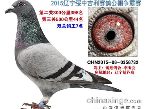 ��˵��װ�����������Ҷ�ھ�(ͼ)