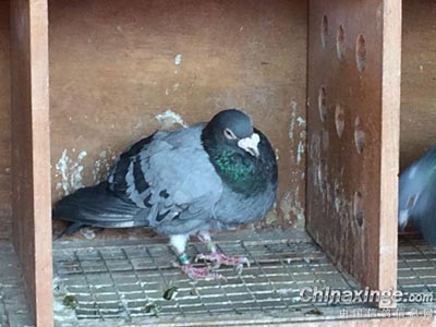 18������� ������ס������(ͼ)