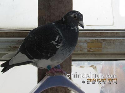 �ּ���ɽˮ��(ͼ)