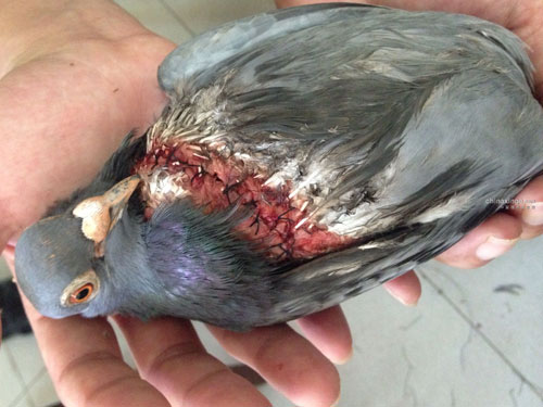 �����޹����� ˭�����֣�(ͼ)