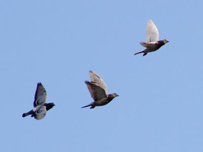 2015�ܽ᣺�������ް���ҩ ȫ����û