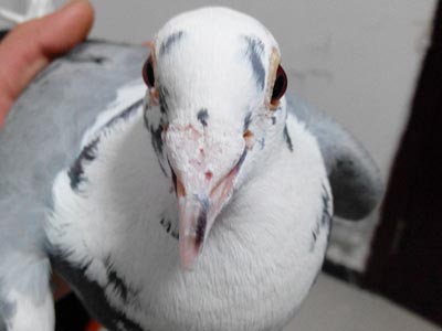 ��ֻ�����ǲ���̫͹�ˣ�(ͼ)