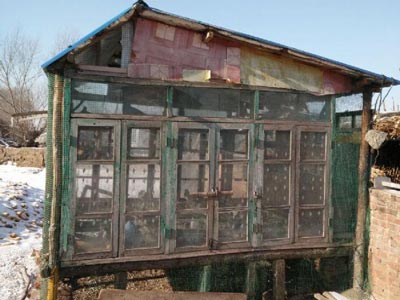 �����ԣ�ª��һ�� �ø�һȺ(ͼ)