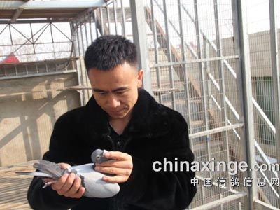 �����������������Ĵ��롪��������(ͼ)