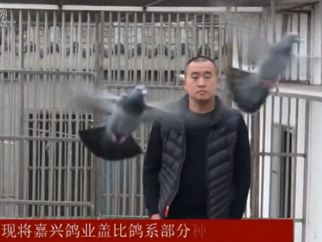 ������������Ƶ��Ŀ���Ĵ����˸�ҵ(������)�Ǳȸ�ϵ