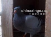 �����ܽ᣺�����ߴλ�һ���ھ�