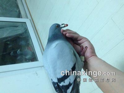 �氮�������������߸��� ��Ȼ����(ͼ)