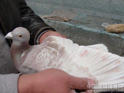 �᲻����̭���� Ҳ��һ�ֲ���