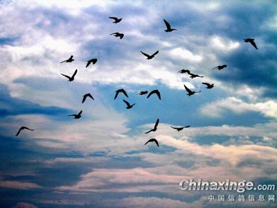 �뺣����(������)������14