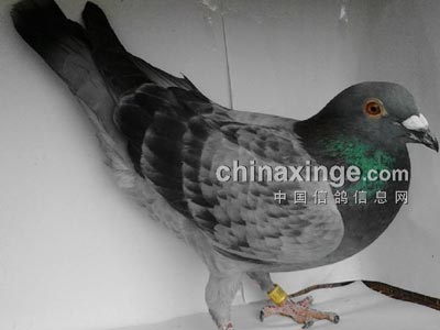 ���ж��ȹ��������������