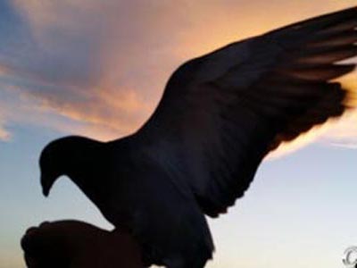 ��Թ�����ۿ���ѡ�ù����ѡ�ھ����ѣ�