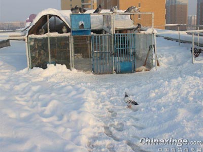 ��ĸ��Ӳ���ѵ ����ѡ�ִ�������(ͼ)