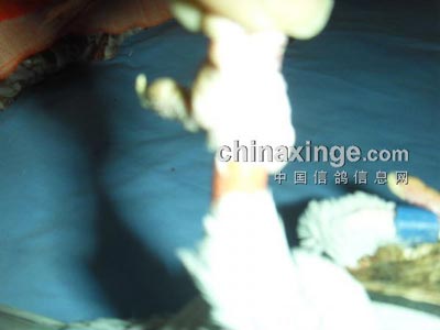 �ر�Сϸ�������ҵ�������(ͼ)