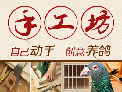 �ֹ���������С���Զ���ʱιʳ��(ͼ)