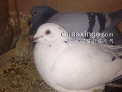 ������ԣ������߳ɼ��뻥��·��(ͼ)