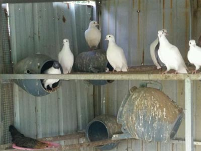 ����ʶ�ˣ���޵����� �ҷ���������(ͼ)