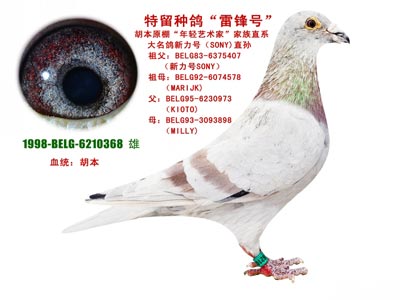 18���Ϻ����ԡ��۲ݡ� �մƵ�˽��(ͼ)