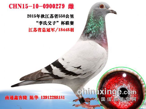 �ӻ���ھ�������ʡ�ܹھ������»�(ͼ)