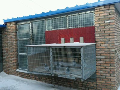 Χ�۴󻧣�����Ԫ��������ָ���(ͼ)