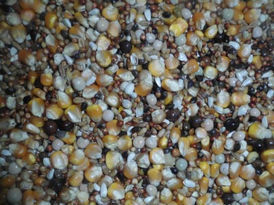 ����һ̨�� ����������