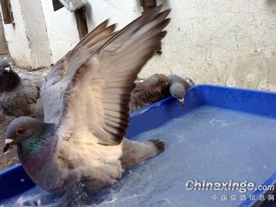 ����Ϸˮ ����ԡ��̫�����ꡱ(ͼ)