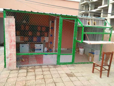 ��ӵ������� �ܹ�ֻ��350����(ͼ)