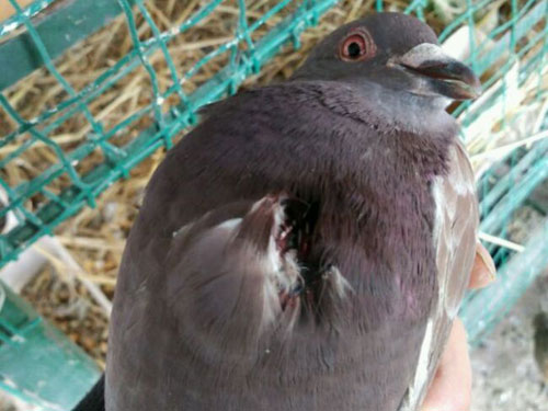 ����̫�����ܵ������������(ͼ)