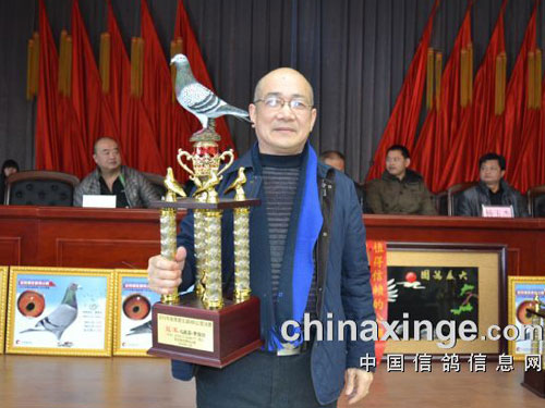 ר��ԥ�ž����ھ������ͣ������������(ͼ)