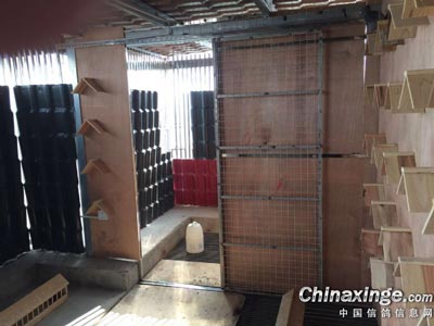 ���������󣺹��·�������(ͼ)