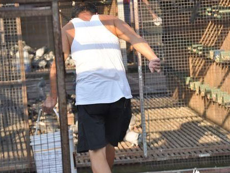 ũ����ѳɹ�·���ӹ�ͷǿ���������