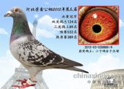 ���ι���֪�Ļ���˵˵�������ǵ���