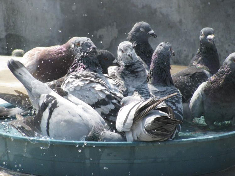 ����ϴ��ô��ࣺʱ����������Ҫ