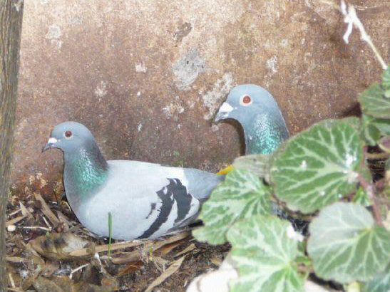 �ҵ����ܣ������佨������ϵ��