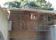 �ڼ�ˣ�ġ����񡱻���289��(ͼ)
