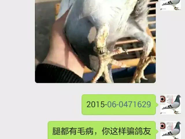 нQQԭ뱻ƭ յȸ(ͼ)