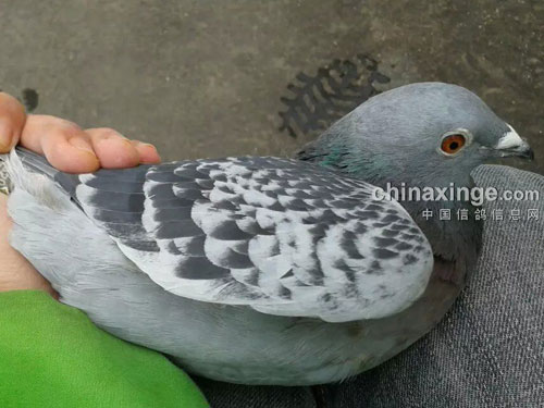 �ٹ�����ڱ����� �Ҵ�ɹ��(ͼ)